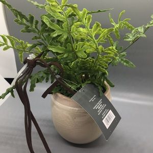 Threshold Accents - Threshold Decorative Hanging Plant Threshold Accents - Threshold Decorative Hanging Plant